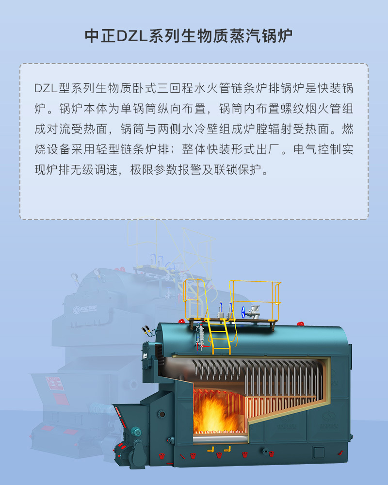 DZL系列生物质蒸汽锅炉