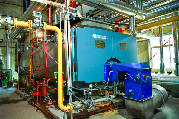 4吨WNS冷凝式燃气蒸汽锅炉项目（中粮油脂）