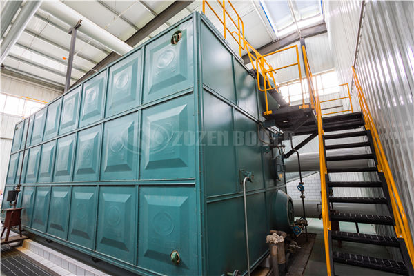 4吨WNS系列冷凝式燃气蒸汽锅炉项目（涪陵榨菜）