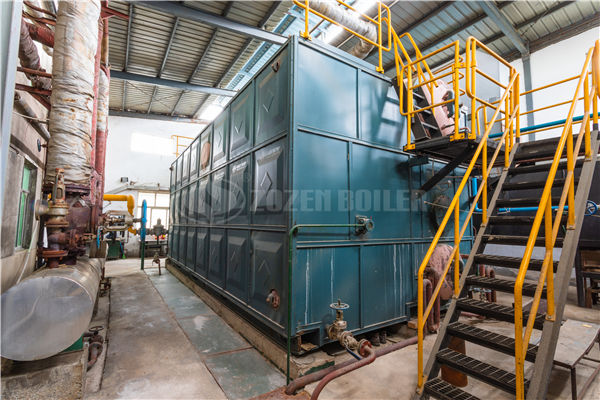 10吨SZL系列生物质锅炉项目（易立科技）
