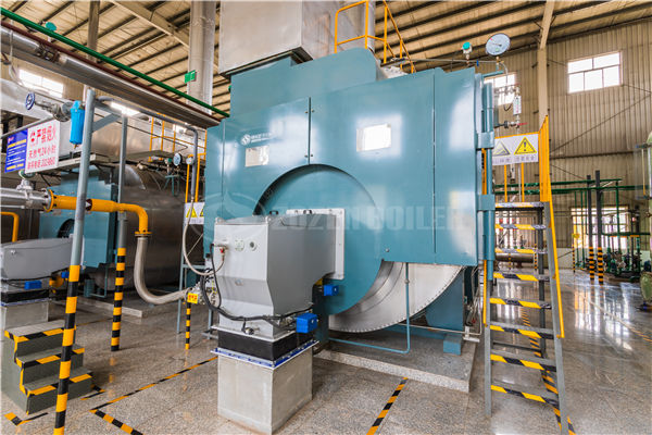 2.8MW WNS系列冷凝式燃气热水锅炉项目（上海鲜花港）