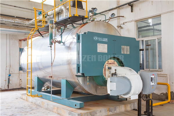 18吨SZS系列冷凝式燃气蒸汽锅炉项目（锦宝石集团）