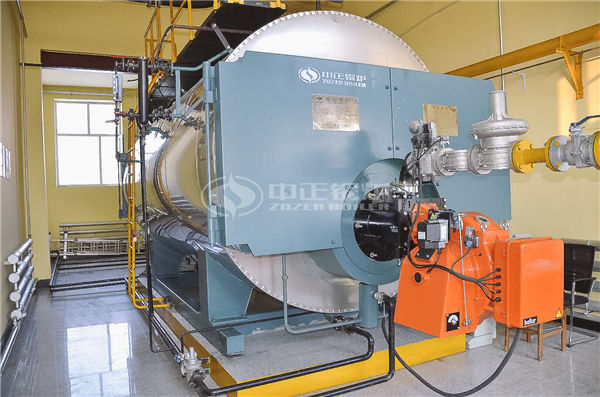 DZL系列生物质蒸汽锅炉