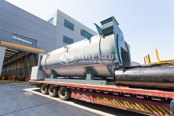 杭州云森纺织染8吨DZL系列生物质蒸汽锅炉项目