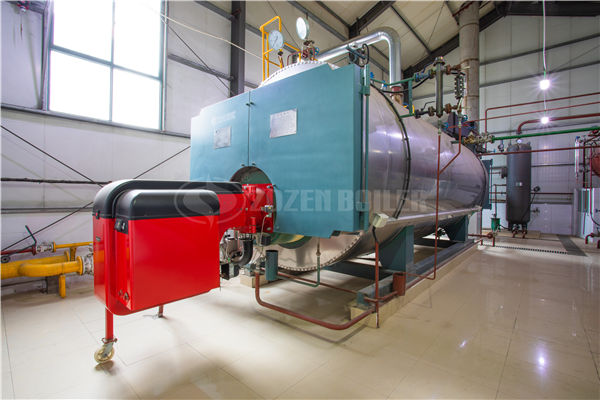4吨WNS冷凝式燃气蒸汽锅炉项目（中粮油脂）