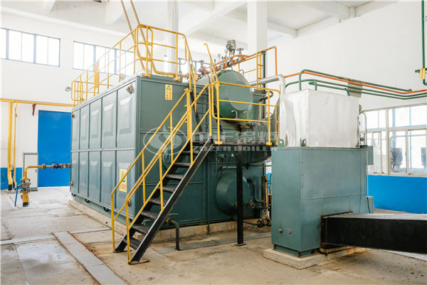 8吨WNS系列冷凝式燃气蒸汽锅炉项目（三珍斋食品）