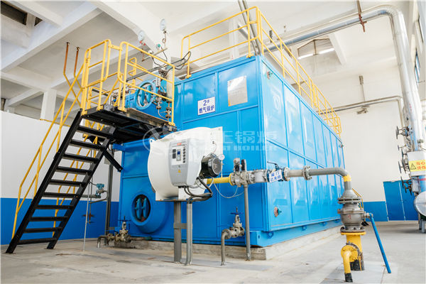 6吨WNS系列冷凝式燃气蒸汽锅炉项目（李记酱菜）