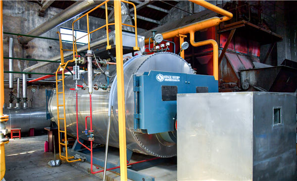 DHL系列生物质角管式链条炉排热水锅炉